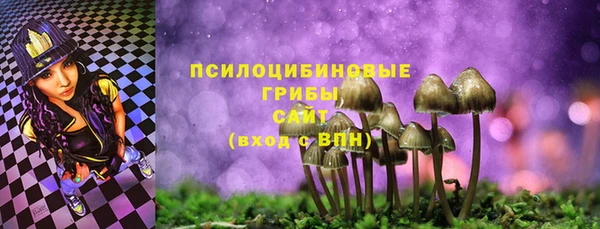 герыч Алексин