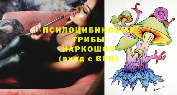 твердый Алзамай